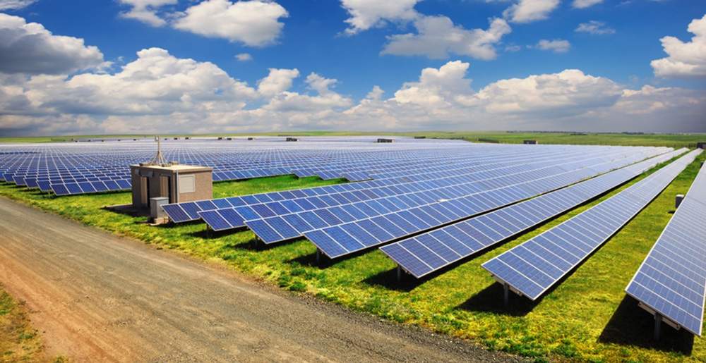 Solar farm business