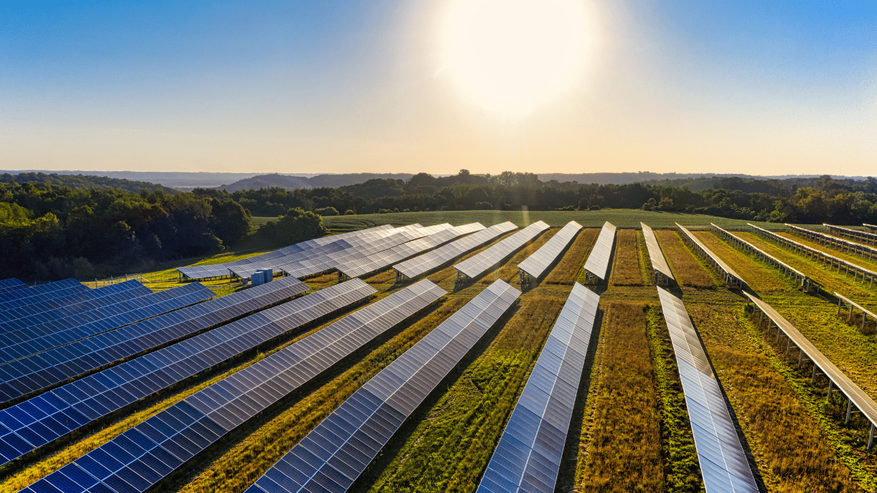 Solar plant